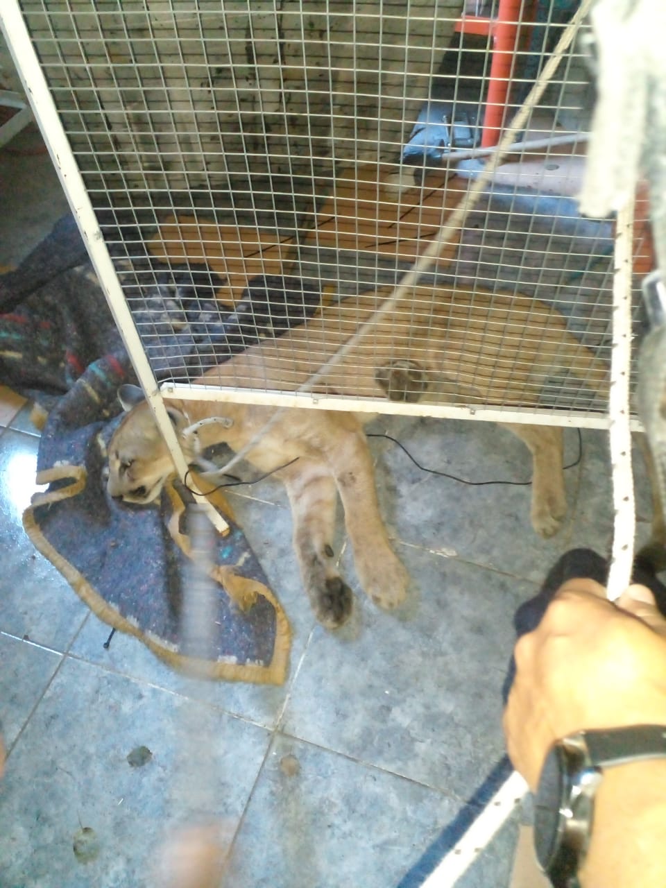 WhatsApp Image 2026-03-04 at 13.26.49